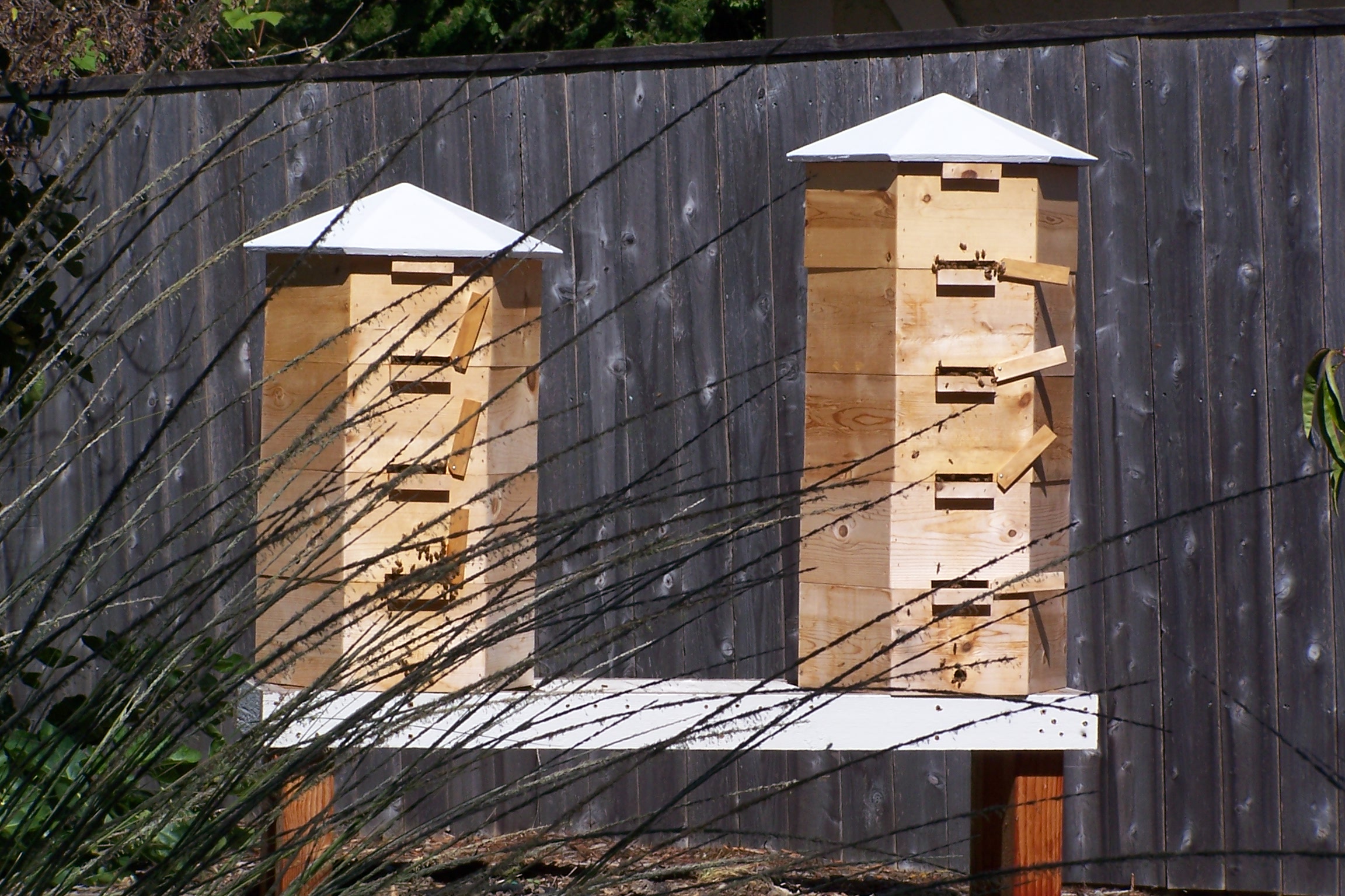 Alternative Hives – Hex Hive® vs Octagonal Hive Organic ...